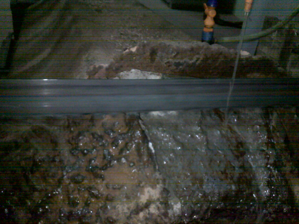 ���̰���